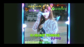 DJ Selimut Tetangga (Original Mixed By DJ Harry)