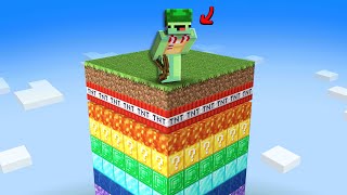 Je dois Finir Minecraft mais je suis ENFERMÉ sur 1 Chunk multicolore.. by GEMI MC 250,361 views 6 months ago 18 minutes