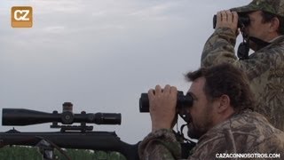 Caza a larga distancia - Abate a 1000 metros - Videos de Caza screenshot 4