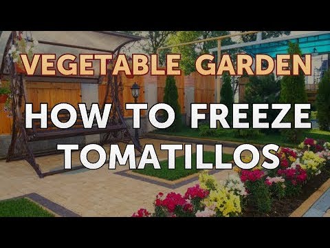 Como congelar Tomatillos