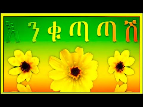 ቪዲዮ: ዘመድ ከማጣት የበለጠ ውሻን ማጣት ለምን ከባድ ሊሆን ይችላል