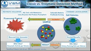 ColiMinder - Automated Monitoring of Microbiological Water Quality