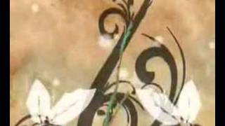 flower motion graphic