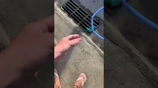 Man Records Video for Plumber, But Water Starts Leaking Everywhere