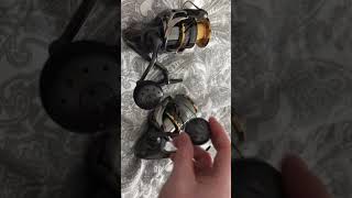 THE TWIN POWERS ARE BACK!! Twin power fd 2020 TWINPOWER SW 2021AND TWINPOWER XD 2021