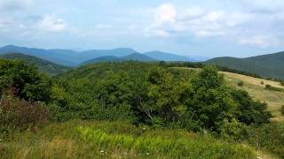 Celebrity Cold Mountain bald Wealth