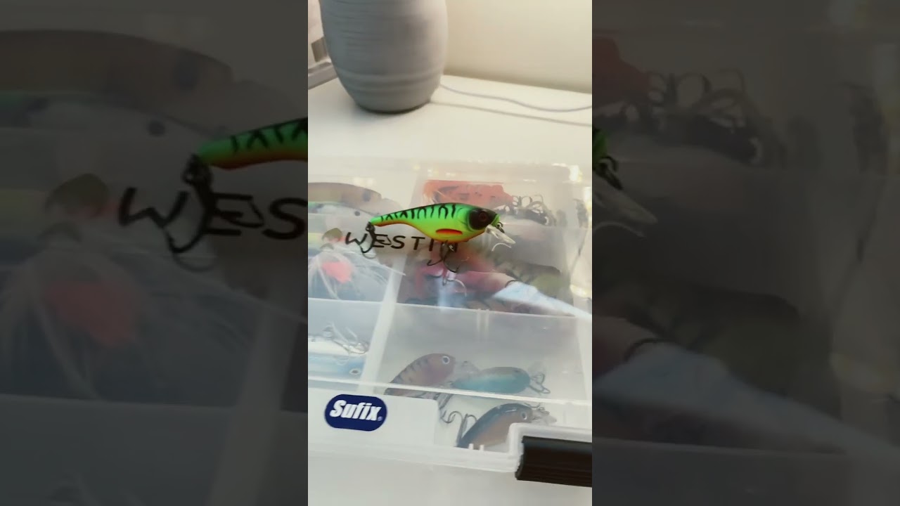 Which fishing lure is the most expensive!?! 