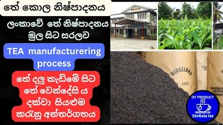 ලංකාවේ තේ නිෂ්පාදනය ,#tea  tea manufacturing process ☕ තේ කොල හදන විදිහ,ceylon tea ,තේ කර්මාන්තශාලව,