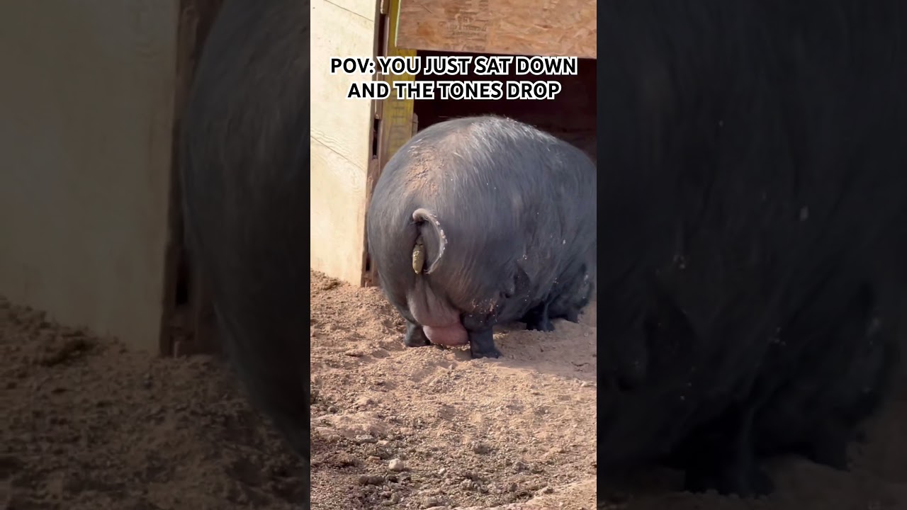 I’m truly sorry for this #firstresponder #firefighter #suckitup