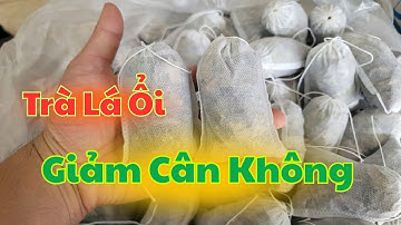 Uống Trà Lá ổi Có Giảm Cân Không - uống vào lúc nào