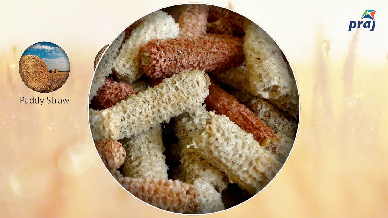 Praj 2nd Generation Technology