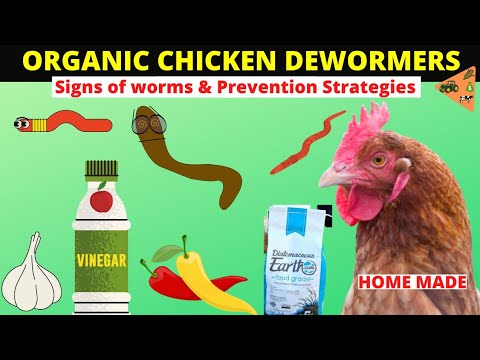 HOW TO MAKE ORGANIC DEWORMER FOR CHICKEN (Signs & Preventing worms infestation in Chicken NATURALLY)