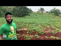 SUCCESS FROM THE STREETS TO THE FARM (PART 1) | EP517 | JAMAICA GOOD LIFE 🇯🇲