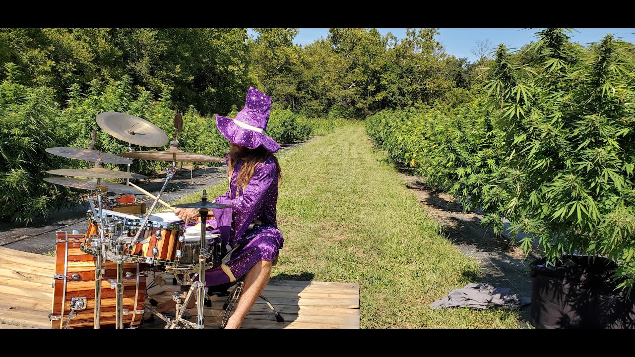 Midwest Magic Hemp Wizards in the  Magic CBD Fields.