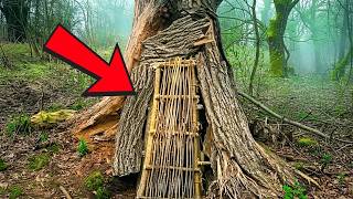 Man Found A Tiny Door Hidden Inside A Tree, But What Was Behind It Shocked Everyone