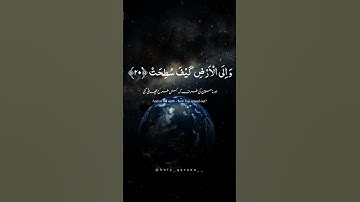 افلا ينظرون إلى الابل كيف خلقت! أجمل آيات القرآن الكريم #القرآن_الكريم #السعودية #ترند_السعودية