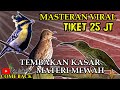 MATERI MEWAH || BURUNG MASTERAN TEMBAKAN Kasar UNTUK ISIAN - MASTERAN VIRAL