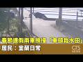 春節活動與碰撞事件