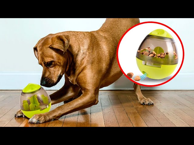 Dog Treat Ball 4.7, Giggle Mentally Stimulating Dog Toys Squeaky