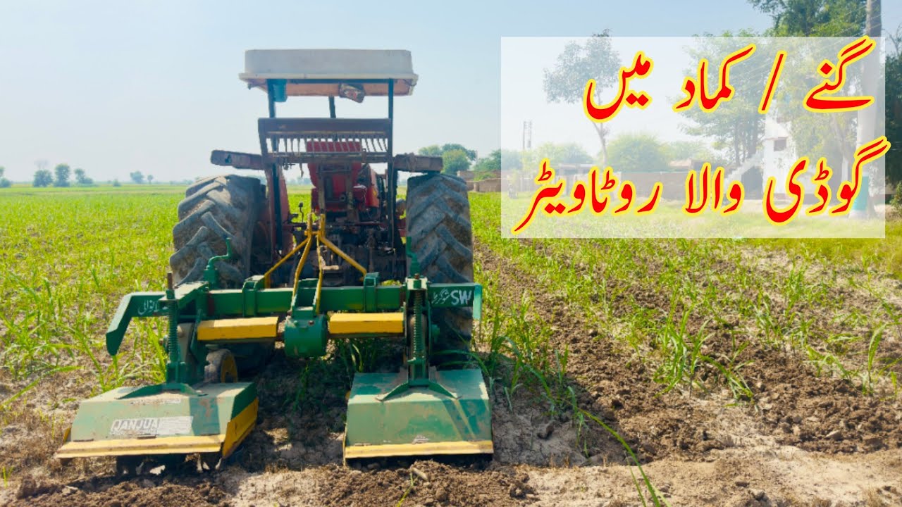 Mechanical Hoeing in Sugarcane | Interrow Rotavator Working | Modern Sugarcane Farming