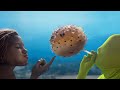 The little Mermaid: Under The Sea Of VFX
