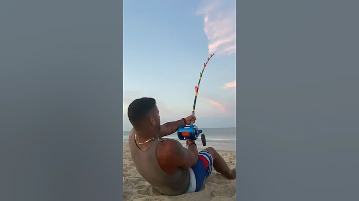 ‼️Get the harness‼️ #shorts #ny #beach #fishing #fish #florida #longisland #shark #sharkfishing #ny