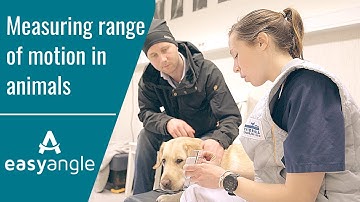 EasyAngle - Digital Goniometer for Veterinary Rehabilitation