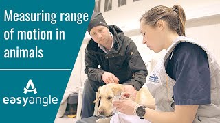Easyangle - Digital Goniometer For Veterinary Rehabilitation
