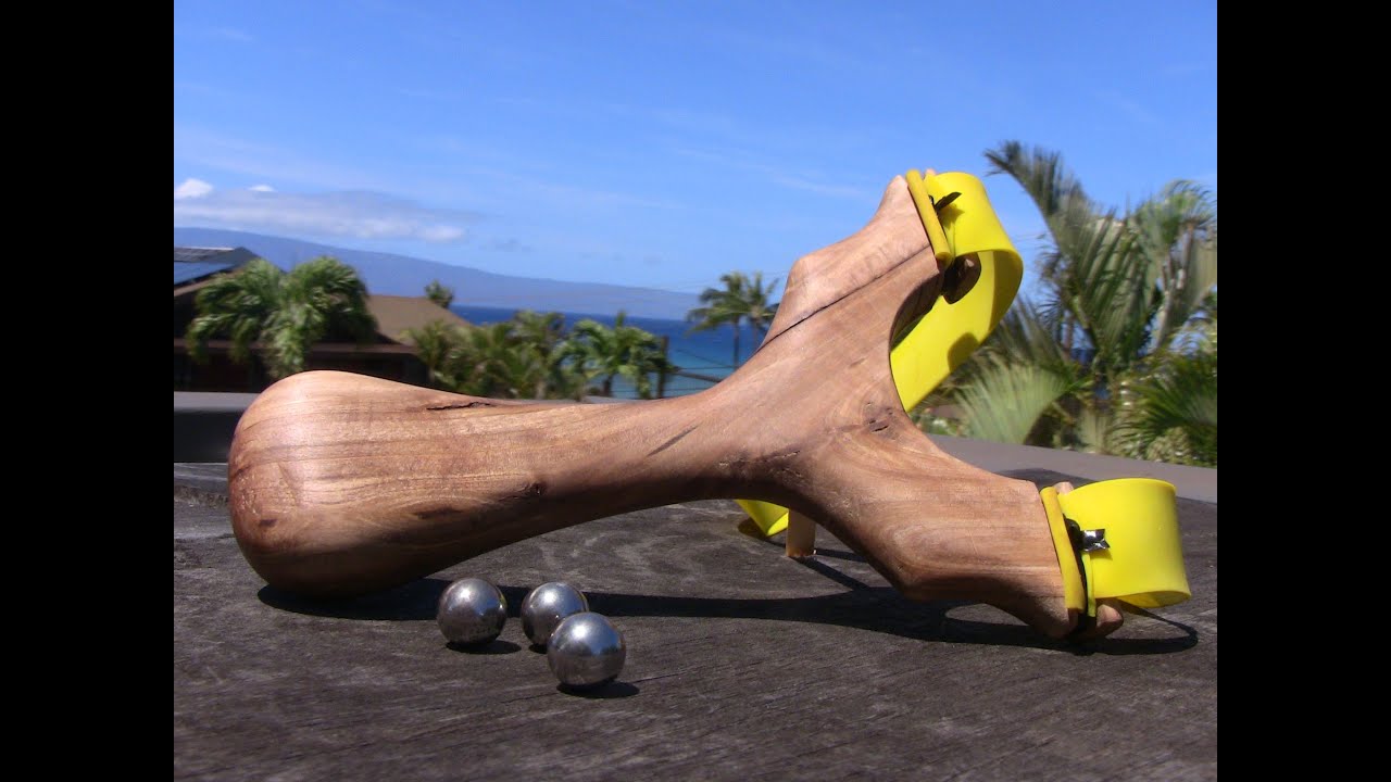 Making Slingshot out of Eucalyptus Tree Fork