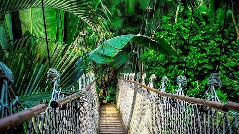 5 Top & Best Trip Journal Apps for Passionate Travelers | Sachin Prajapati |