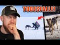 Joe Vogels Reise wird zur TODESFALLE für einen Straßenhund! | Fritz Meinecke reagiert