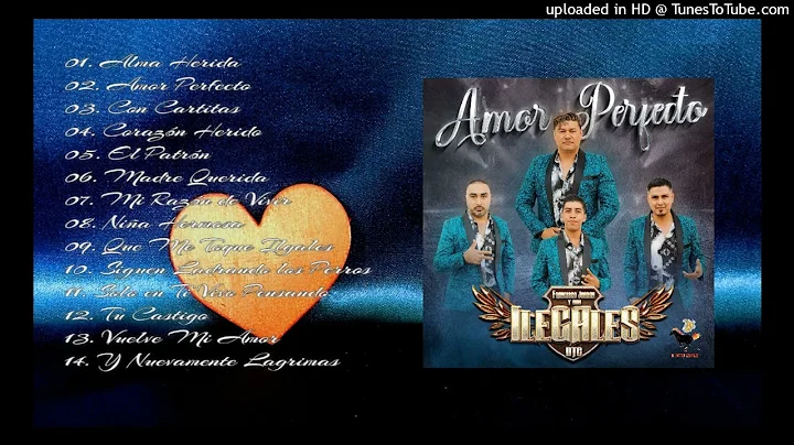 Amor perfecto - Francisco Jordn y sus Ilegales DTC...