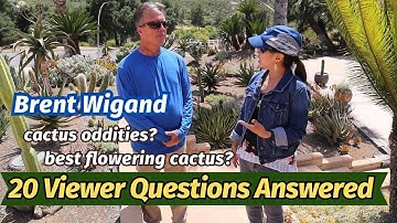 Q & A with Brent Wigand, Cactus Grower and Hybridizer #torchcactus