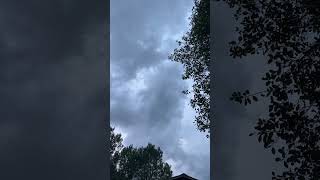 There is a storm brewing #wildlife #nature #shorts