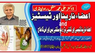 Grow Penis Longer And Testes Dr Ali Muhammad