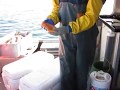 Lake trout lipid level demonstration following Archimedes