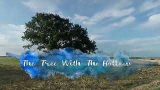 The Tree With The Hollow