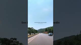 Veysel Mutlu Vay Delikanlı Gönlüm