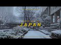 Snow in Japan | 日本の雪