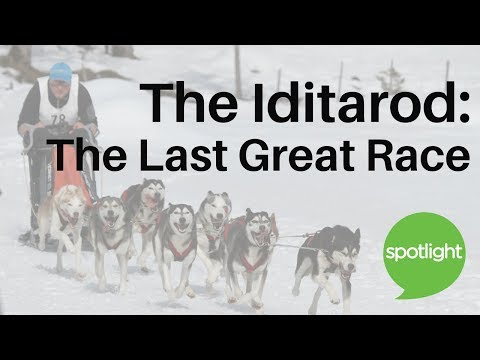 Video: Naučite se, kaj veterinarska ekipa na dirki s psom Iditarod