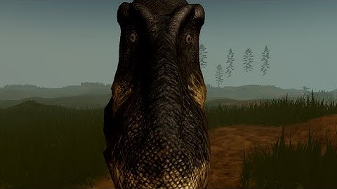 Dinosur Images Compilation