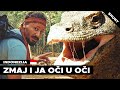 ZAPLAKAĆETE NA KRAJU! Kako sam doživeo neverovatan susret u divljini sa komodo zmajem?! | Putopis