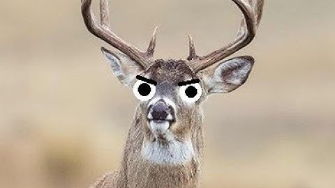 Idiots with Guns (The Hunter: Call of the Wild)