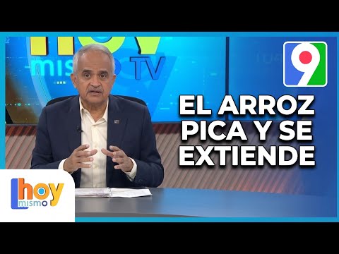 ¡Última Hora! "El tema del Arroz pica y se extiende" | Hoy Mismo