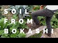 How long before bokashi compost turns to soil