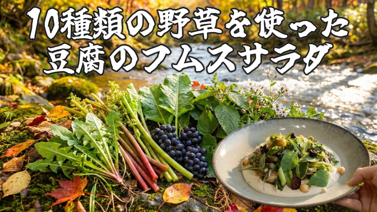 【野草採取】秋冬に採れる野草で満腹ヘルシーサラダ作ってみた