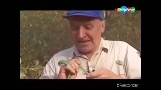 В мире животных с Никлоаем Дроздовым на канале Карусель