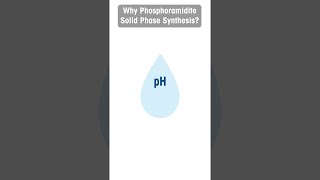 Why Phosphoramidite Solid Phase Synthesis?