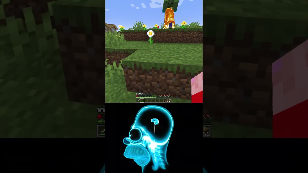 -10670-IQ VS 100048-IQ Minecraft shorts 