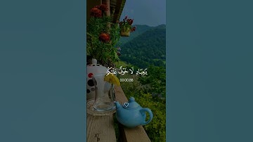 سورة الزخرف - محمد صديق المنشاوي